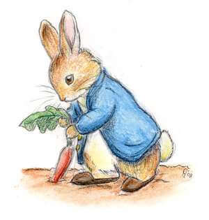 Peter_Rabbit_by_Winnie_Beatles
