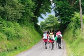 El Camino de Santiago