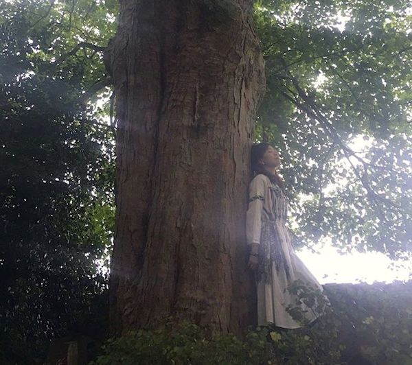 Hug a tree