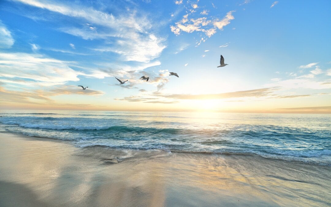 beach