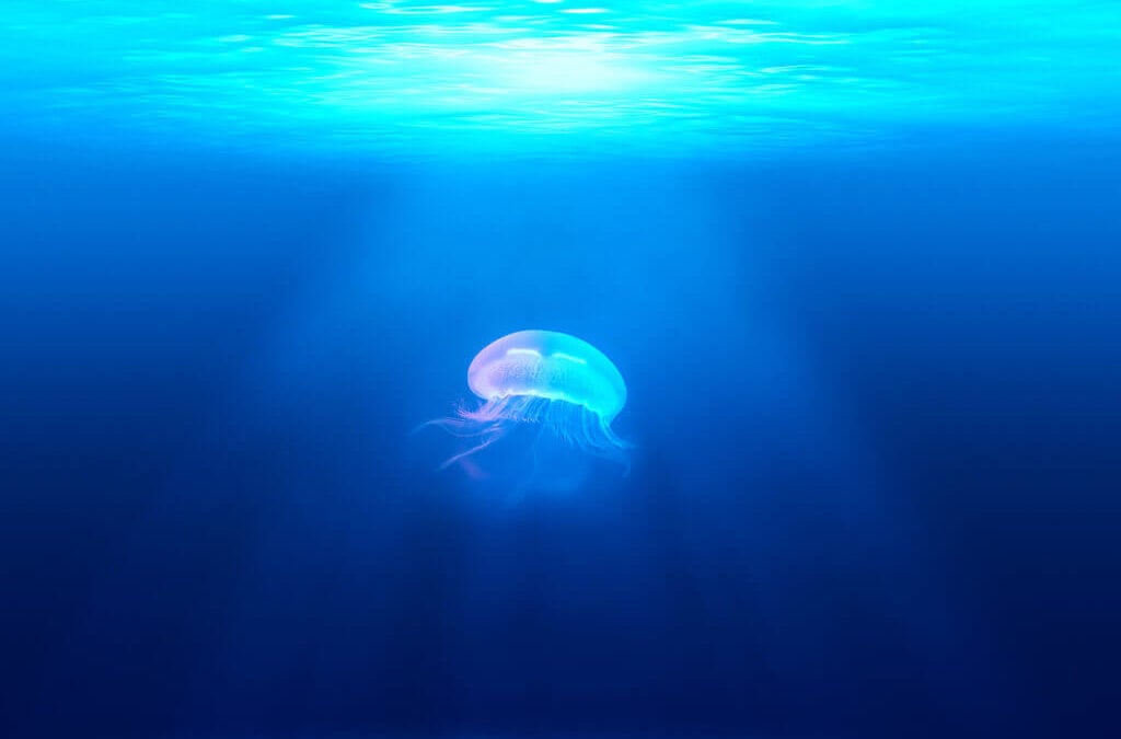 bluenightanddeepsea