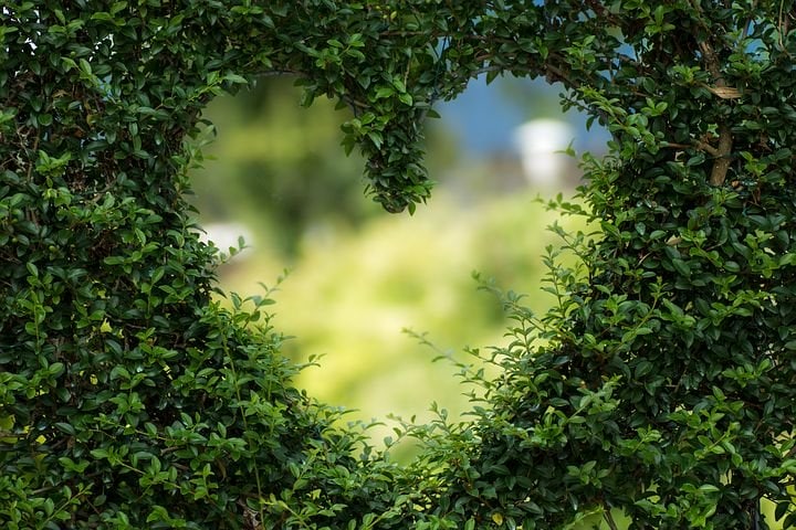 heart-1192662__480