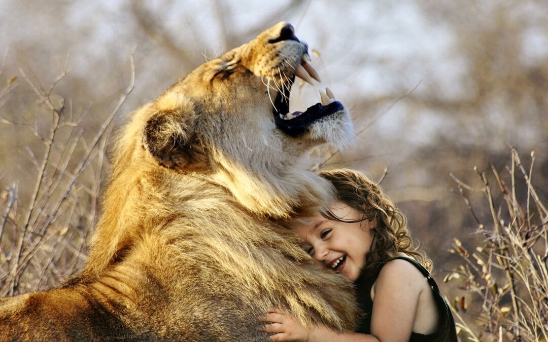 lion