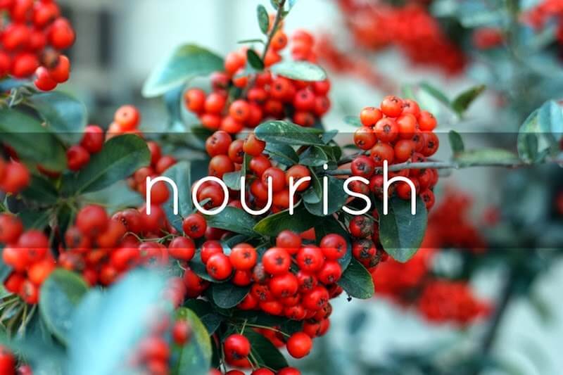nourish