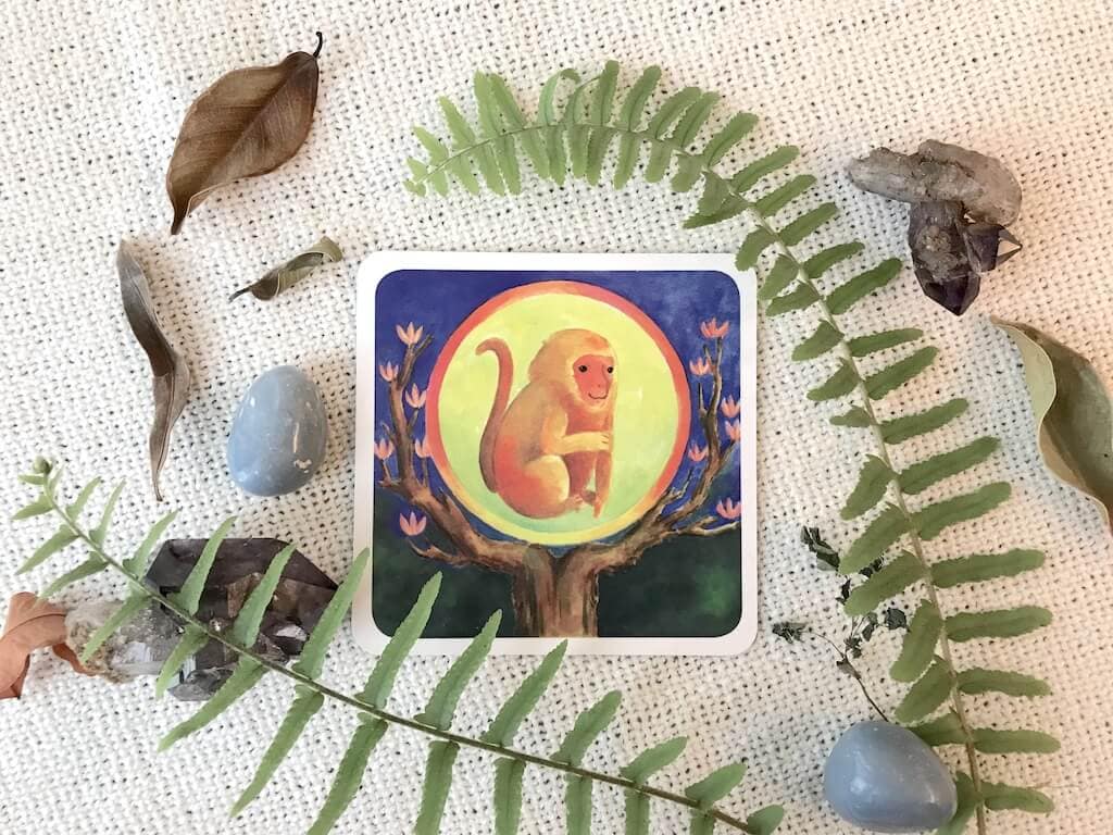 resonant-monkey-moon-of-attunement-2