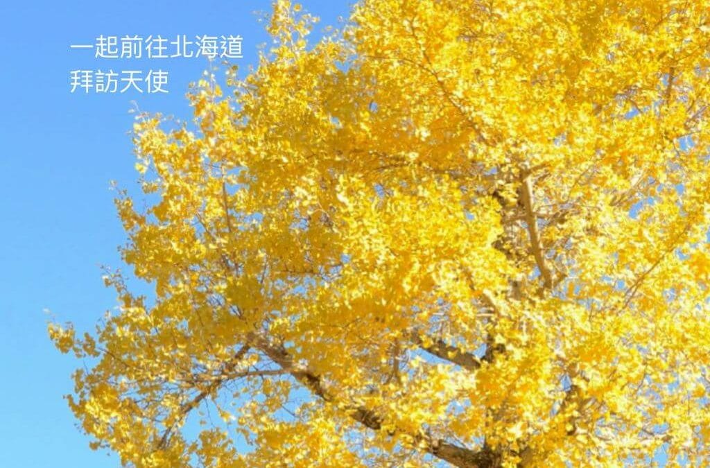 Kin93月亮紅天行者|讓我們一起夥伴前往北海道拜訪天使