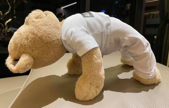 yoga-bear-kin44
