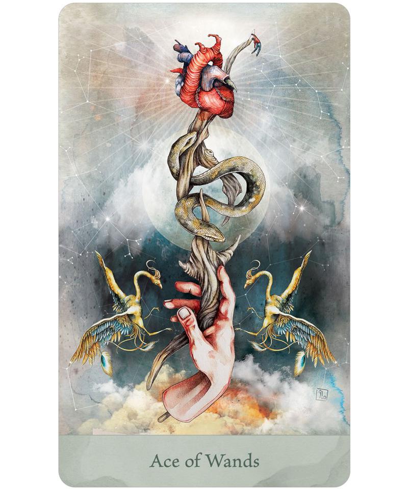 Lorenzi Tarot-7