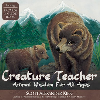 動物導師卡（藍天使出版）｜Creature Teacher Cards