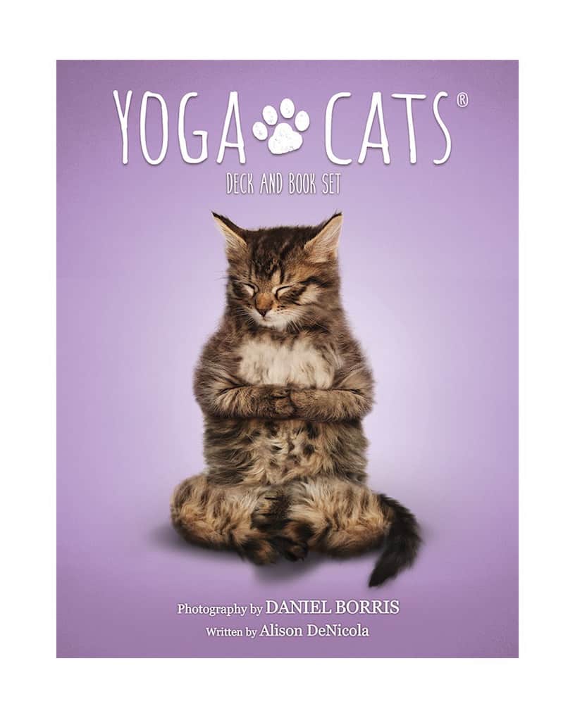 貓咪瑜伽卡（書卡盒裝版）｜Yoga Cats Deckbook Set