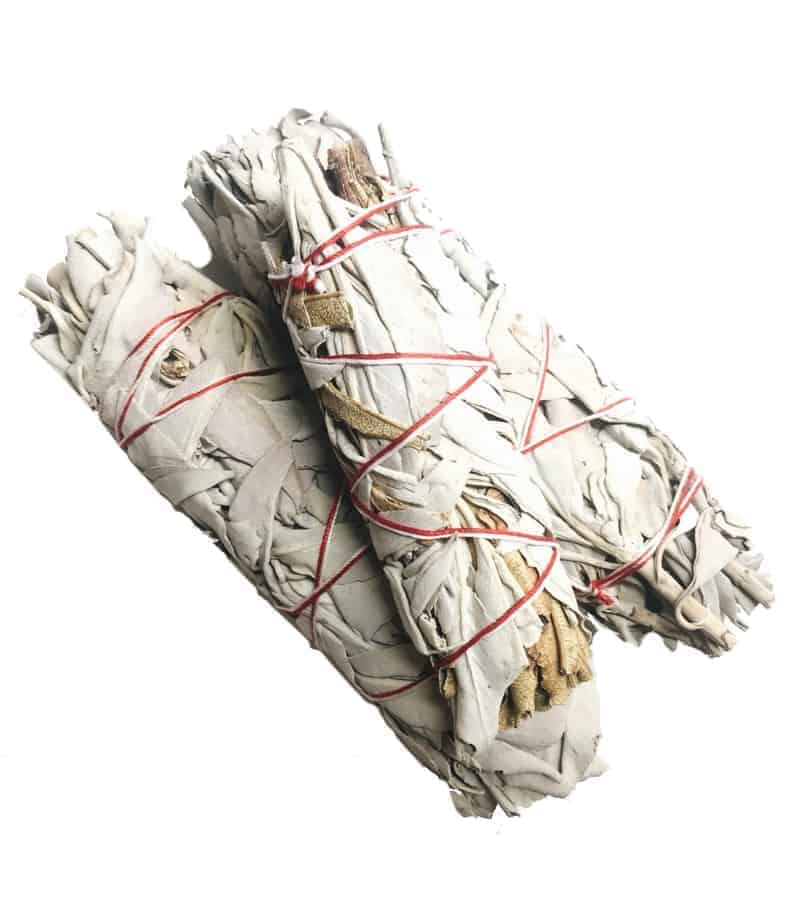 北美聖草鼠尾草杖