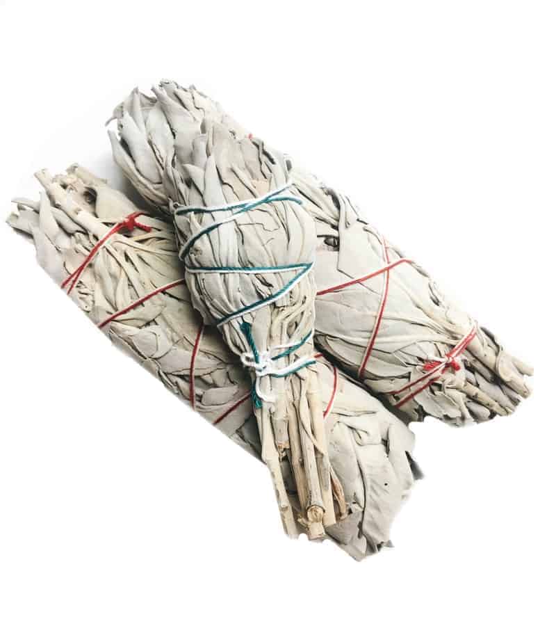 白色鼠尾草 - 小把鼠尾草