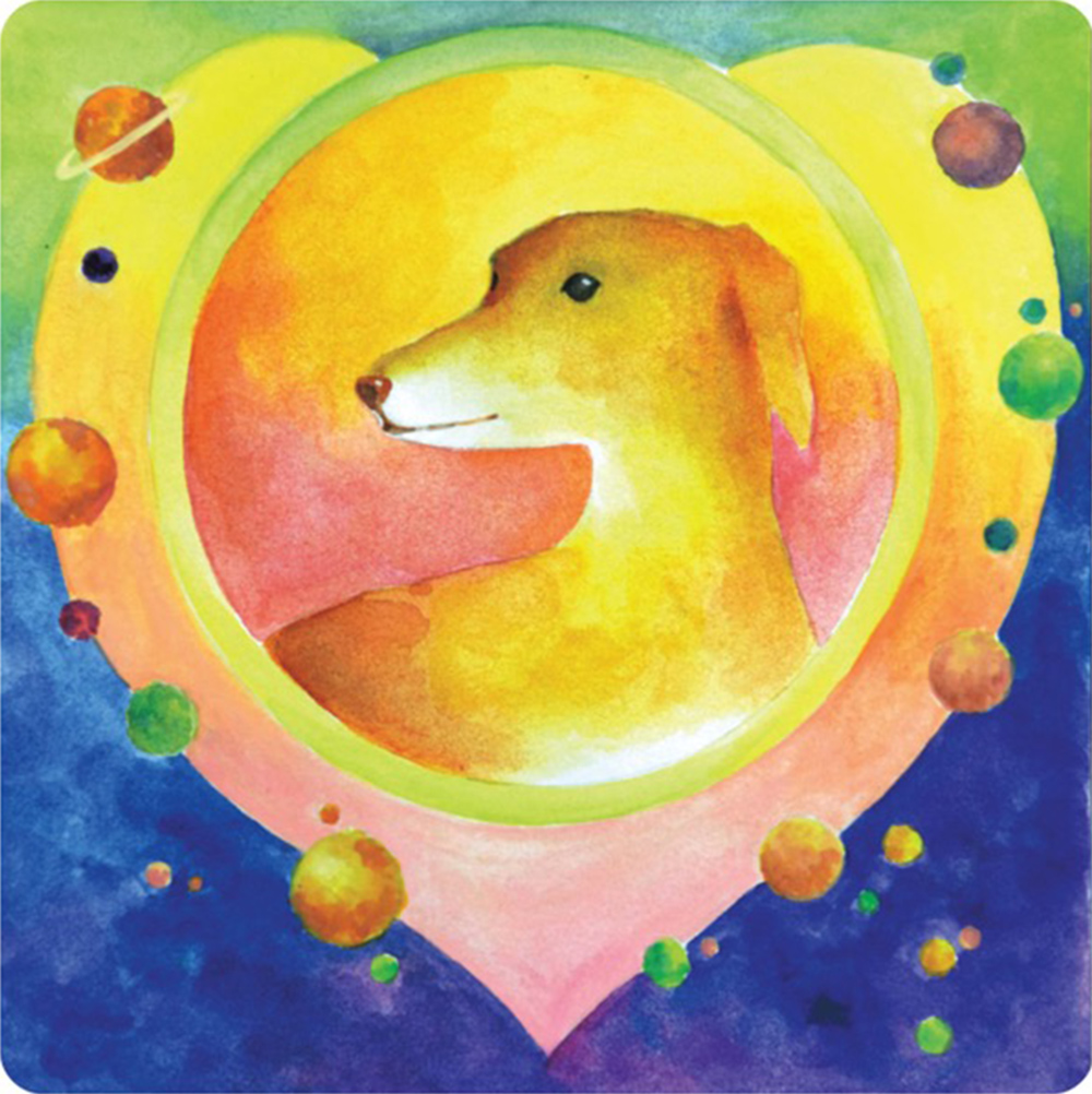 星際馬雅卡|iMaya cards|68張,星系印記組合盤加上圖騰調性與力量動物
