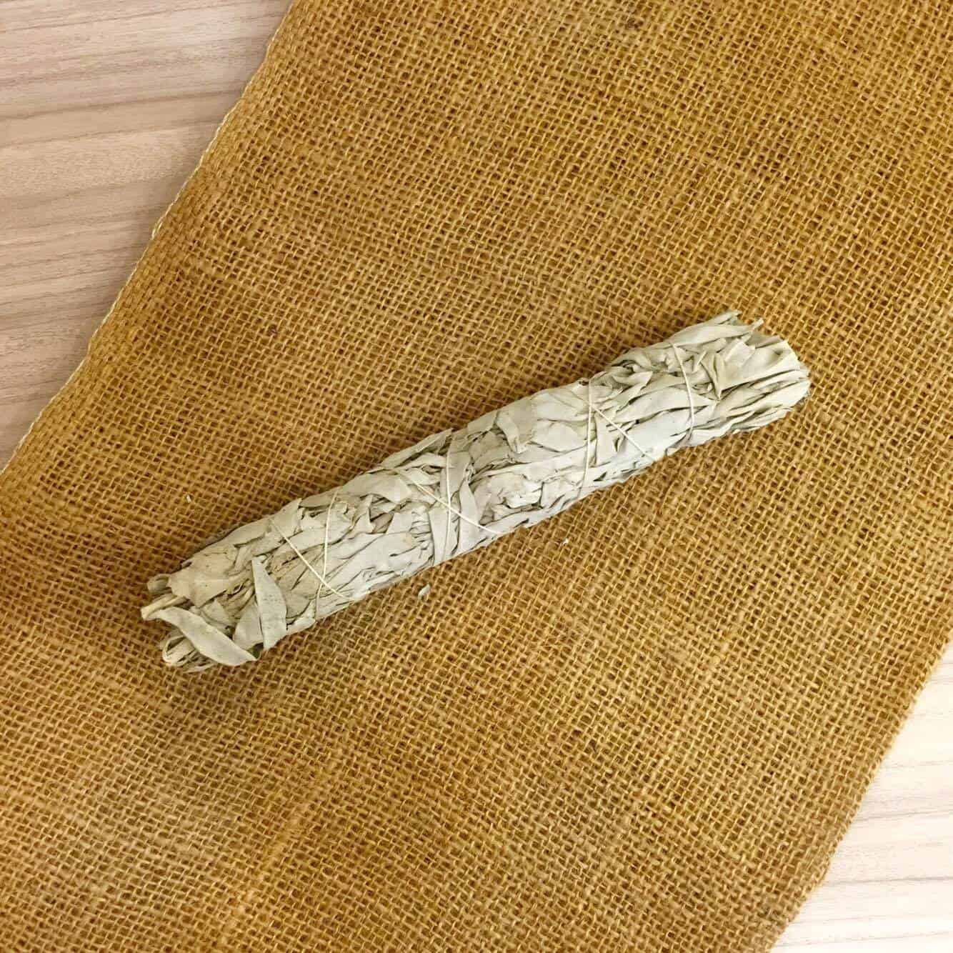 白色鼠尾草 - 大杖鼠尾草