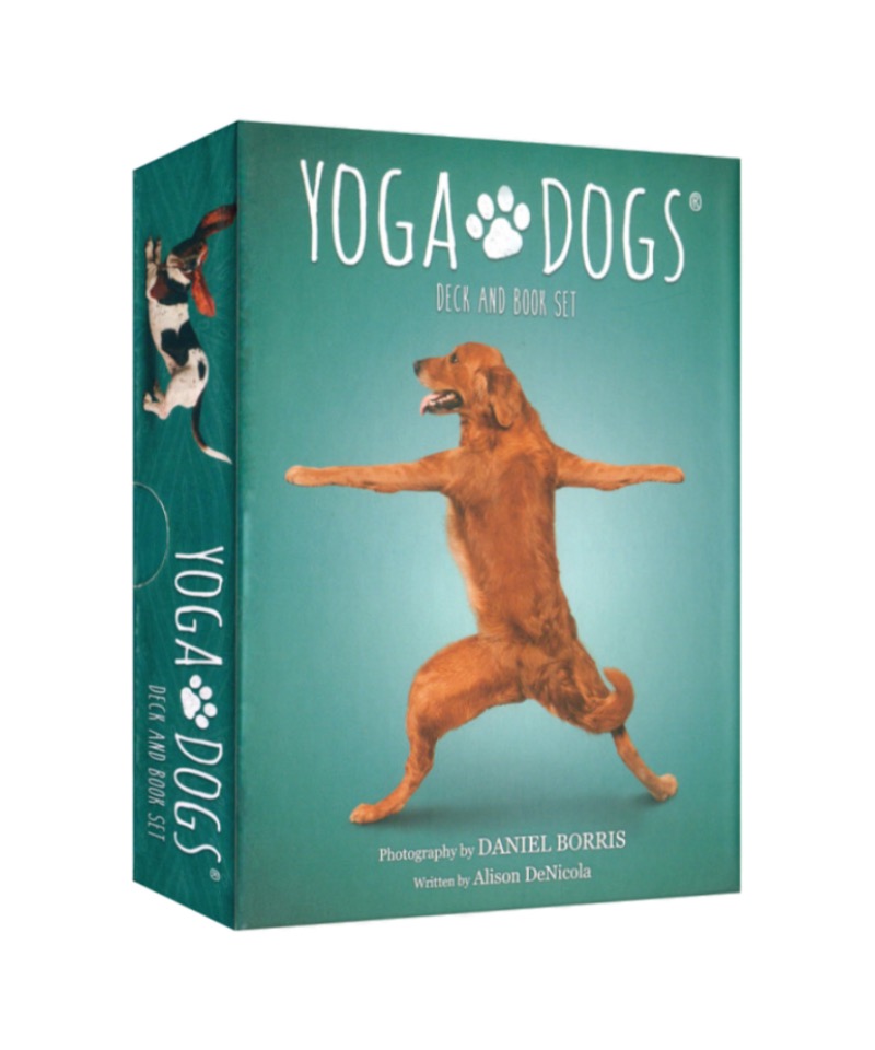 狗狗瑜伽卡（書卡盒裝版）｜Yoga Dogs Deck Book Set｜44張,智慧信息、引導伸展和滾動技巧