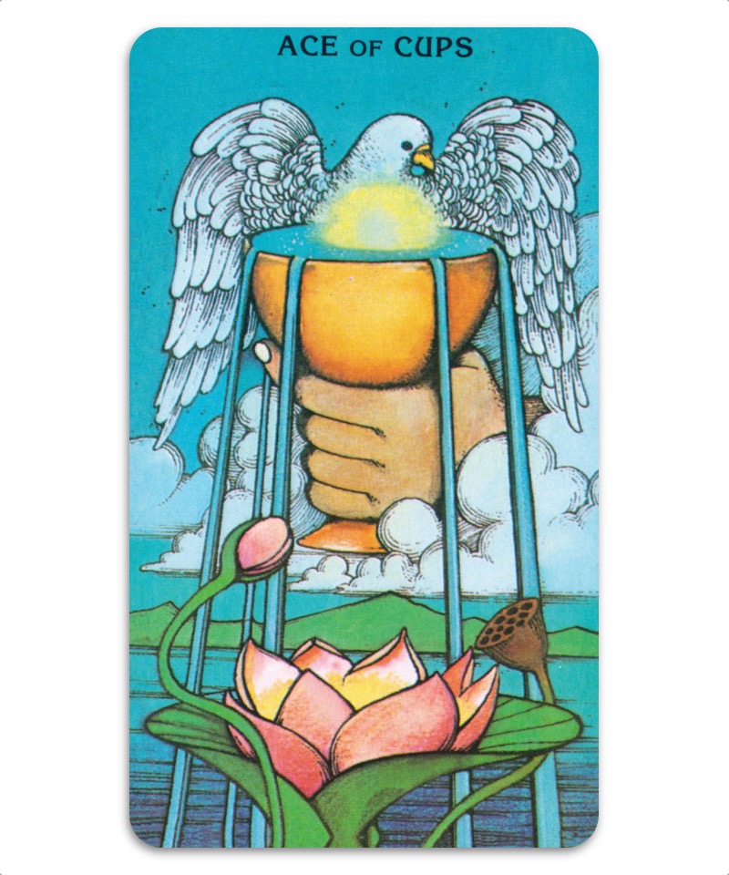 摩根吉爾塔羅牌平裝版|Morgan Greer Tarot Paperback|78張,贈中文翻譯
