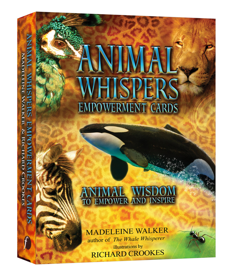 動物密語力量卡｜Animal Whispers Empowerment Cards｜45張,培育新的個人信念以及釋放自我懷疑