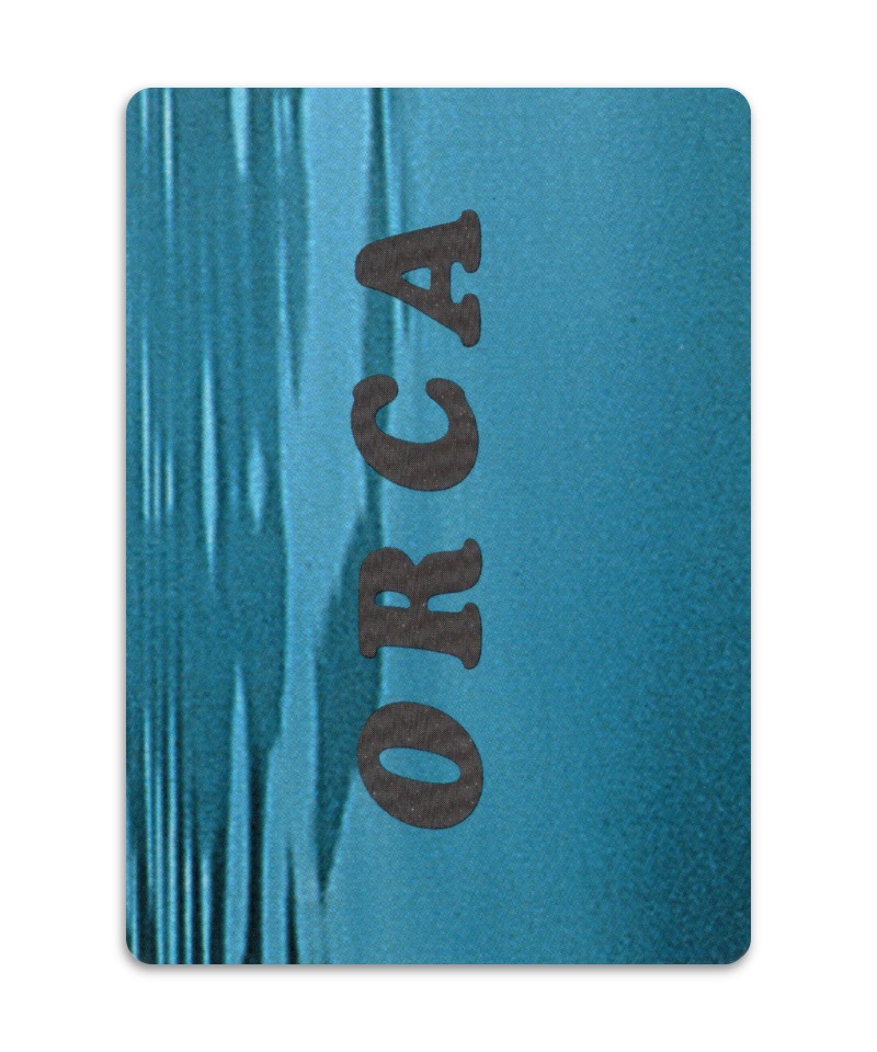 OH Cards-虎鯨卡|ORCA Cards|55張,關於虎鯨生活的圖片卡