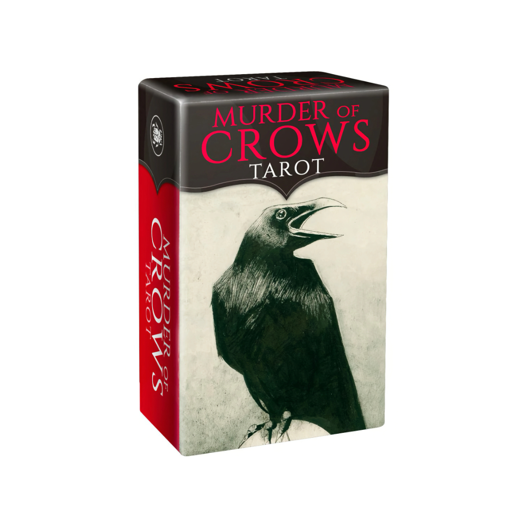 迷你版烏鴉占卜塔羅｜Mini Murder of Crows Tarot｜78張,連結世界的預視,黑羽力量超越束縛,贈中文翻譯
