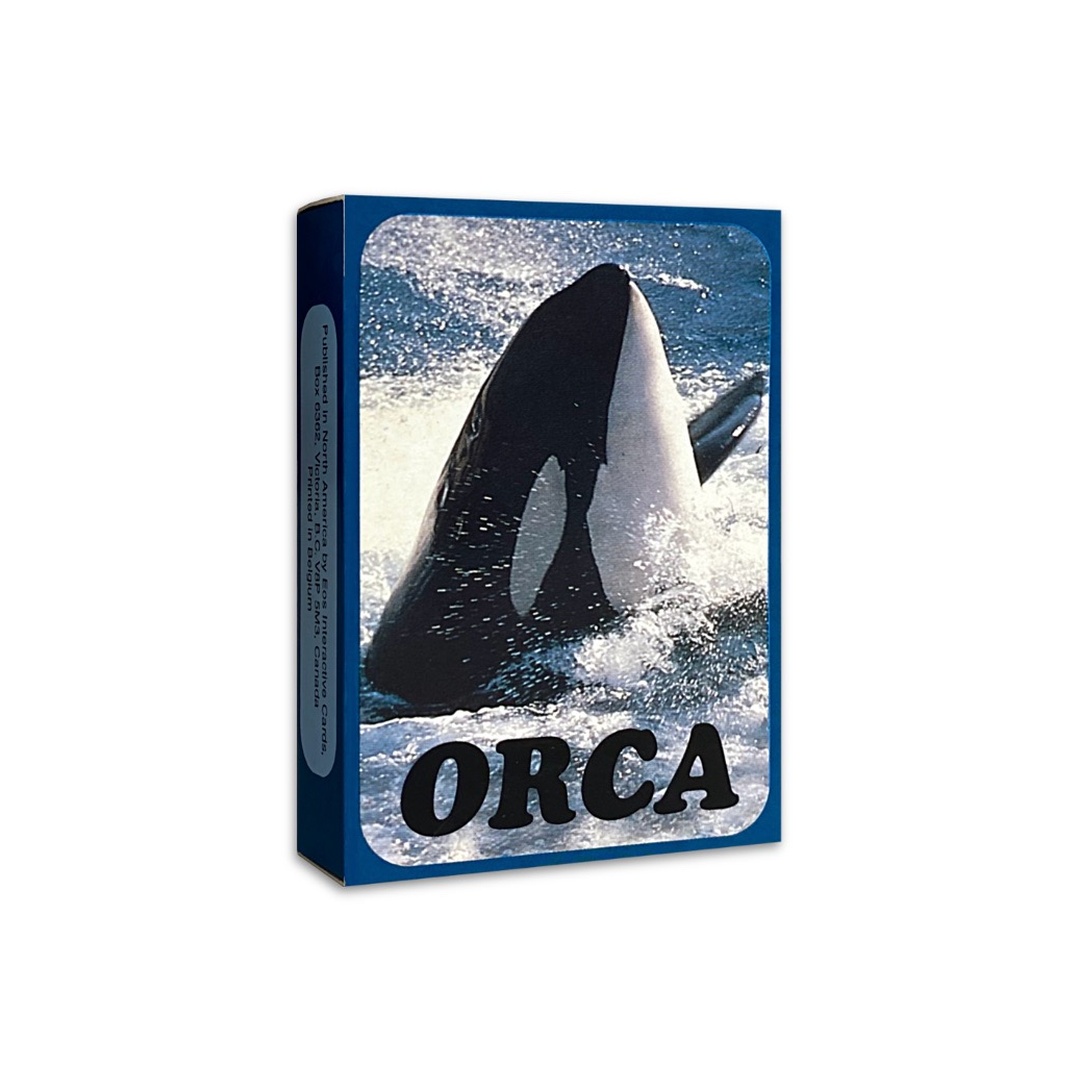 OH Cards-虎鯨卡｜ORCA Cards｜55張,關於虎鯨生活的圖片卡