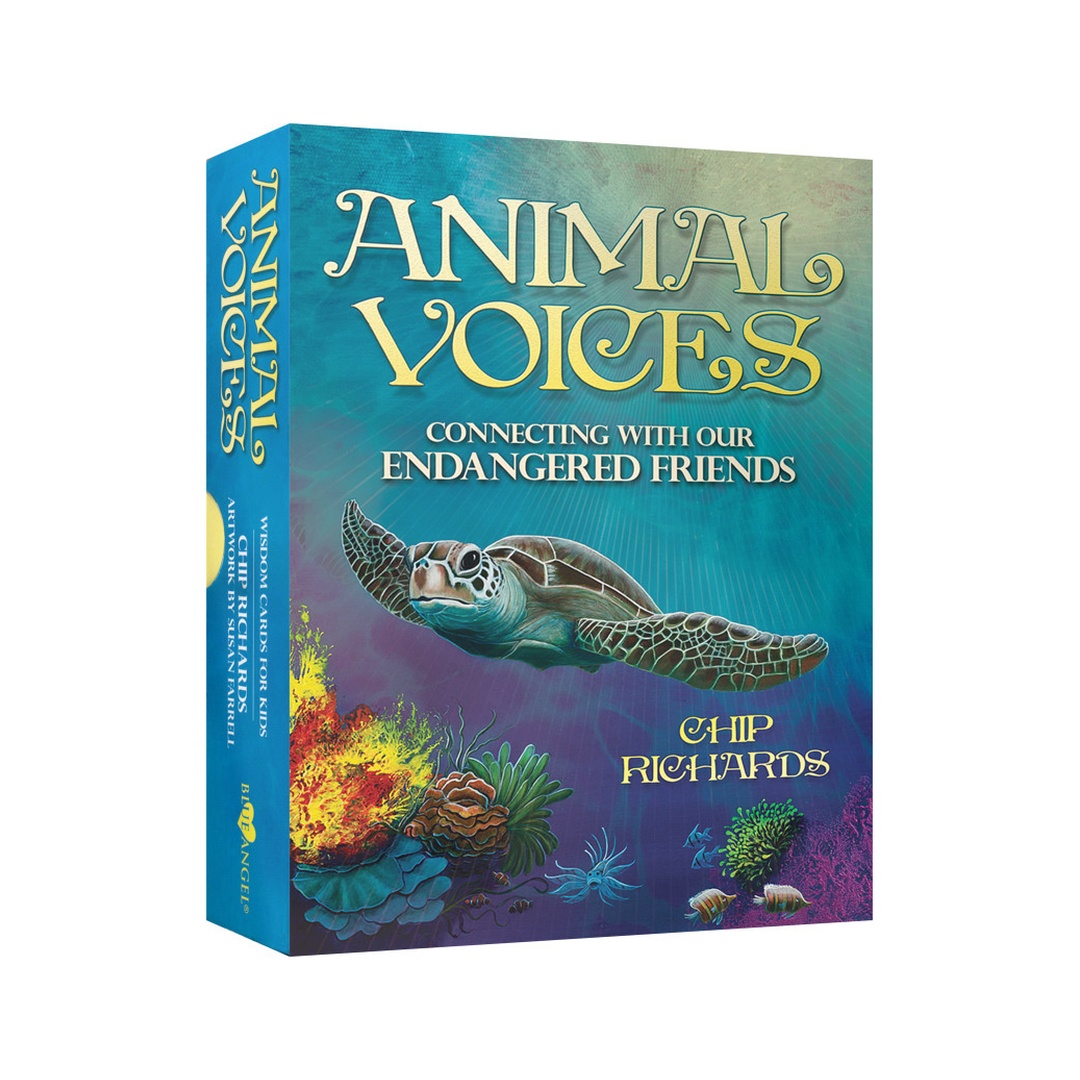 動物之聲｜Animal Voices｜31張,海龜象徵著開始、旅程、回家｜每個靈魂的目標都是尋著回家的道路前進著,贈中文翻譯