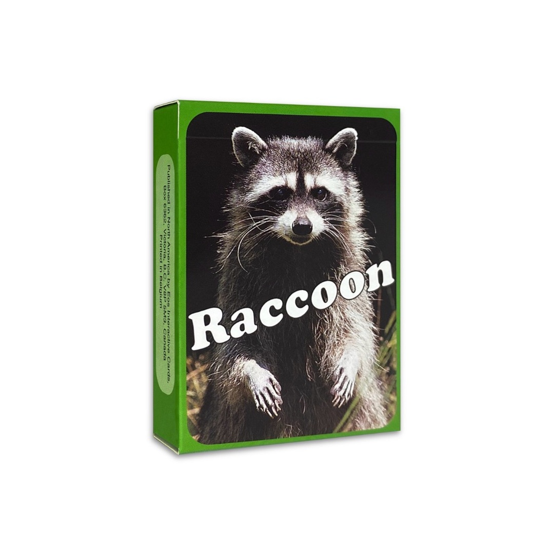 OH Cards-浣熊卡｜RACCOON Cards｜55張,關於浣熊生活的圖片卡片
