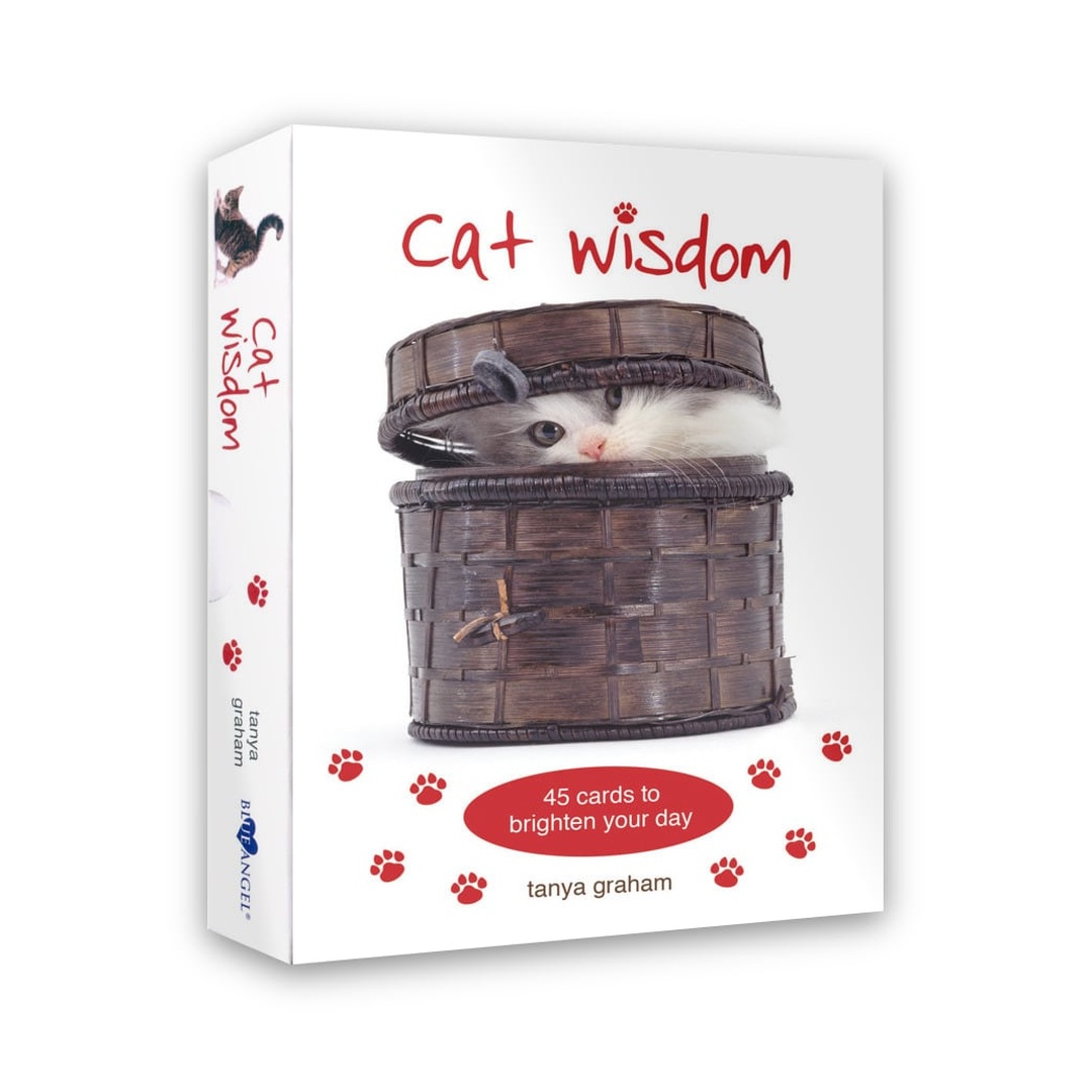 貓咪智慧卡｜Cat Wisdom｜45張,從不同的角度去看待事物並放輕鬆、懂得玩樂,贈中文翻譯