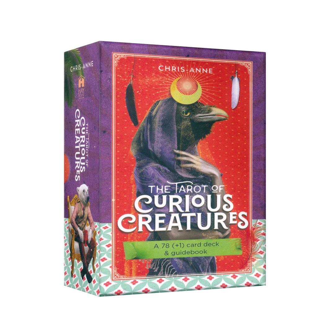 稀奇生物塔羅牌｜The Tarot Of Curious Creatures｜79張,瘋狂、好玩、智慧吸取、看見不同並接引奇蹟的降臨,贈中文翻譯