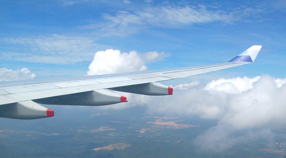 1-Fly-1.jpg