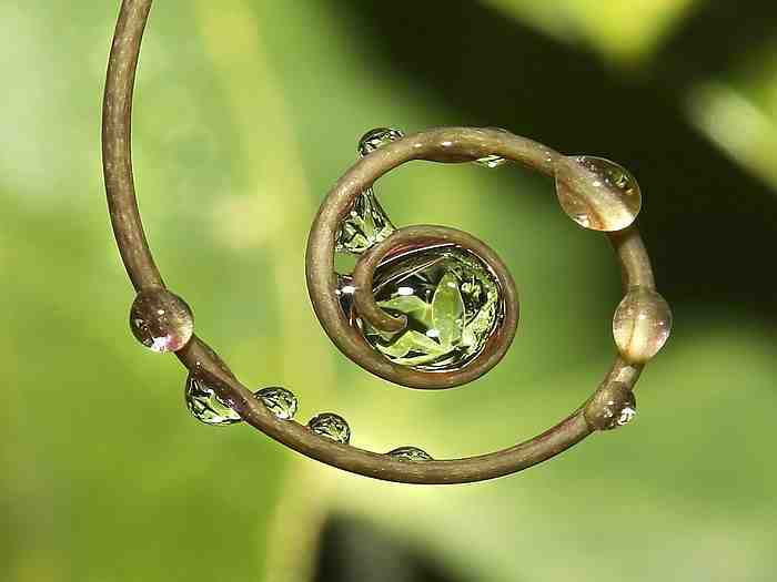 Circle-of-Life.jpg