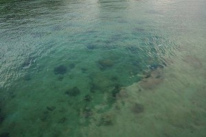 GreenBeach-300x199.jpg