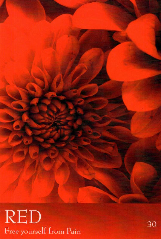 The Secret Language of Colour Cards 3