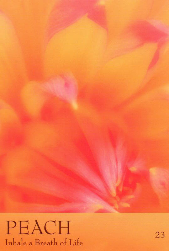 The Secret Language of Colour Cards 4