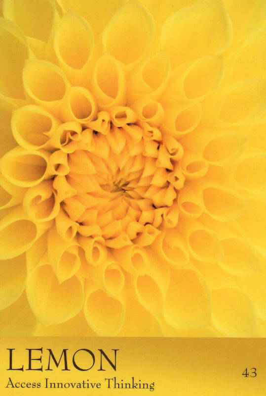 The Secret Language of Colour Cards 6